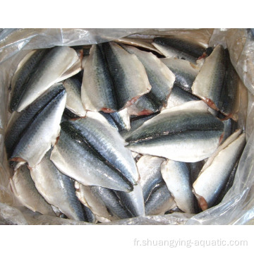 Exporter des poissons surgelés rabats de maquereau congelé le maquereau papillon